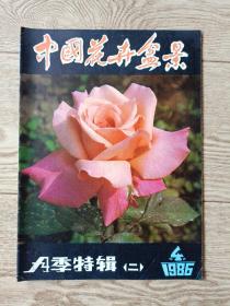 中国花卉盆景【1984年4期】