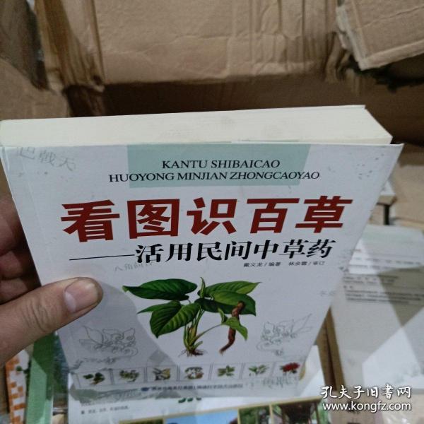 看图识百草：活用民间中草药