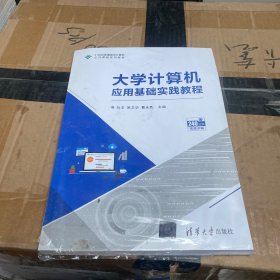 大学计算机应用基础实践教程