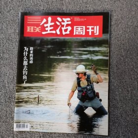 三联生活周刊2022年第44期 为什么都去钓鱼了