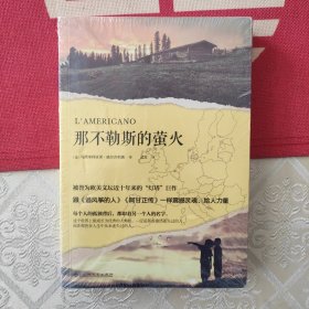 那不勒斯的萤火（被誉为欧美文坛近十年来的“灯塔”巨作，跟《追风筝的人》《阿甘正传》一样震撼灵魂、给人力量。）