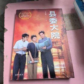 县委大院(孔笙导演，胡歌、吴越、张新成、黄磊、刘涛主演同名电视剧原著小说）