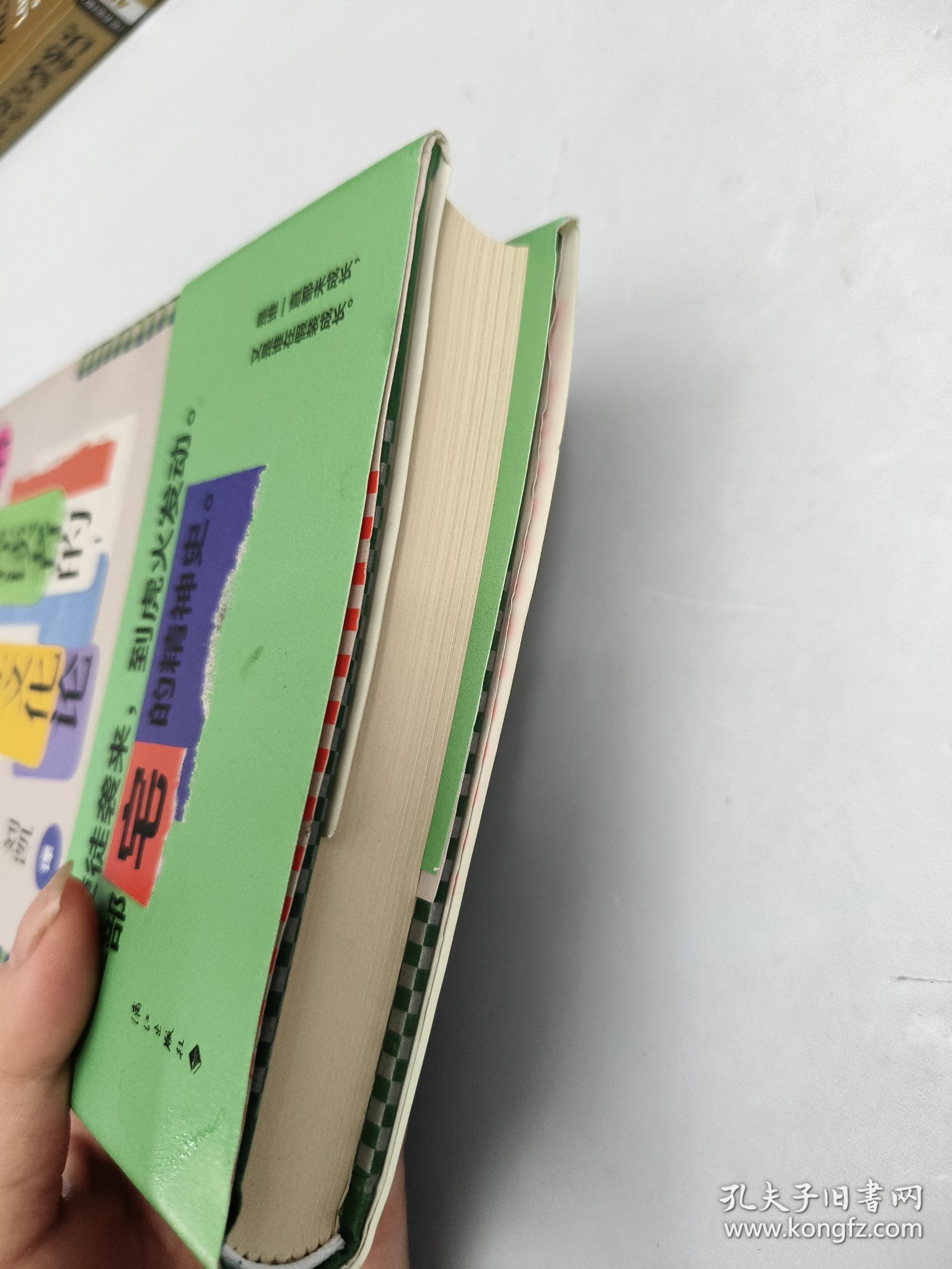 给年轻读者的日本亚文化论