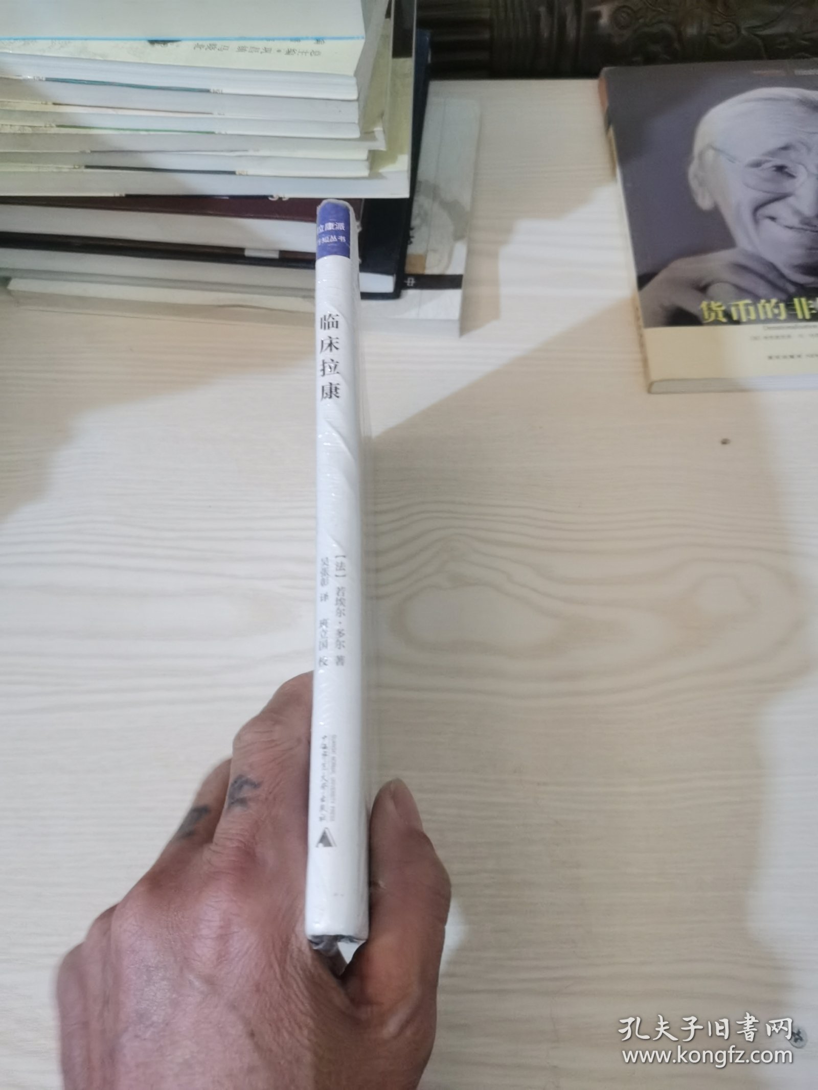 拉康派行知丛书：临床拉康（精神分析、心理学上佳入门读物，探究人类精神世界的实践，简明易读，深入浅出）