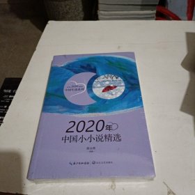 2020年中国小小说精选（2020中国年选系列）