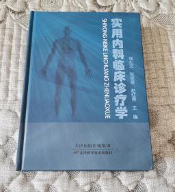 实用内科临床诊疗学 （硬精装）