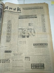 湖北日报1994年7月26日