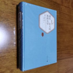 正版 精装 名著名译丛书：童年·在人间·我的大学