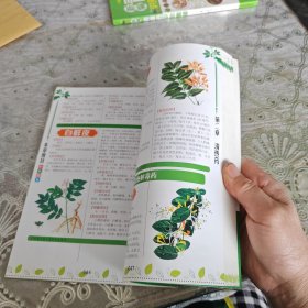 本草纲目彩色图鉴