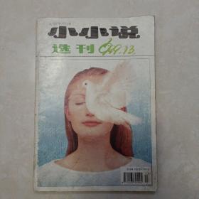 小小说选刊 1999 13