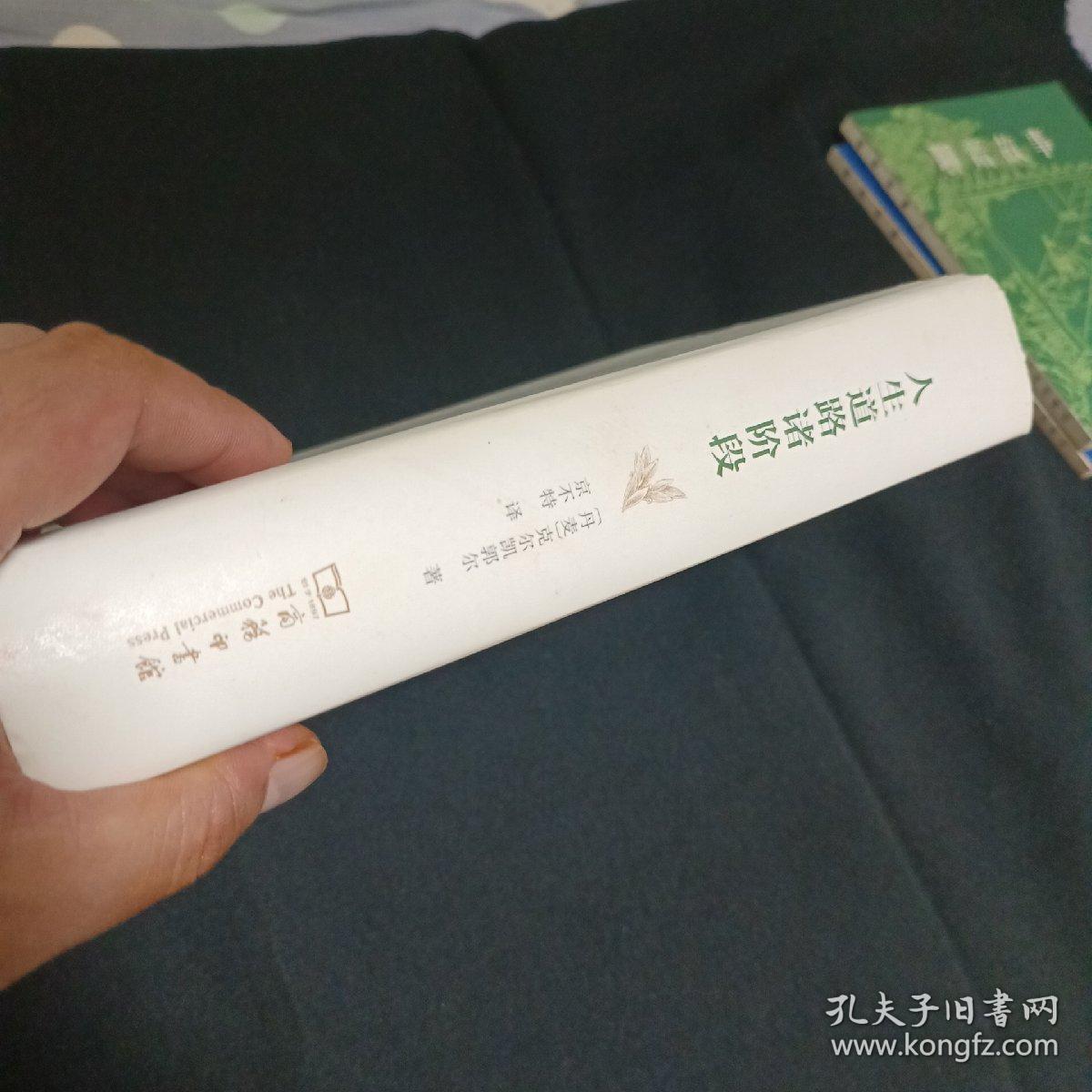 人生道路诸阶段（见图）