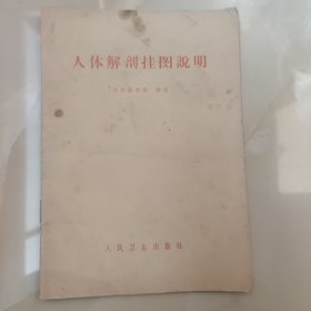 人体解剖挂图说明