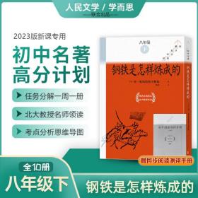 钢铁是怎样炼成的(全10册) 外国文学名著读物 (苏联)尼·奥斯特洛夫斯基 新华正版