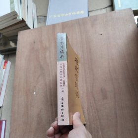 唐家湾镇志