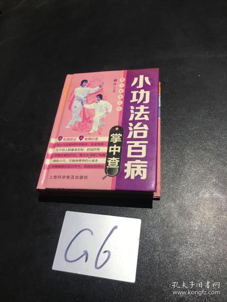 掌中查4：小功法治百病掌中查