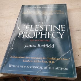 The Celestine Prophecy：An Adventure
