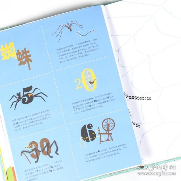 酷虫——让孩子眼前一亮的虫子书