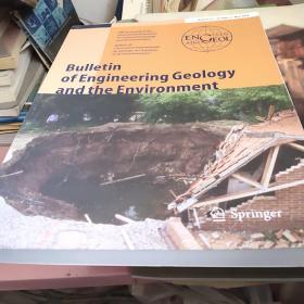 bulletin of engineering geology and the environment