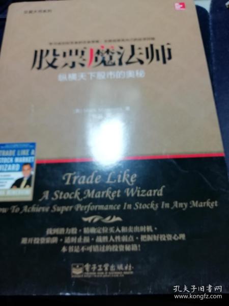 交易大师系列 股票魔法师——纵横天下股市的奥秘