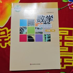 义务教育教科书. 数学. 九年级. 下册