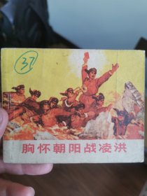 胸怀朝阳战凌洪