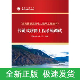 長鏈式聯(lián)網工程系統(tǒng)調試/高海拔超高壓電力聯(lián)網工程技術
