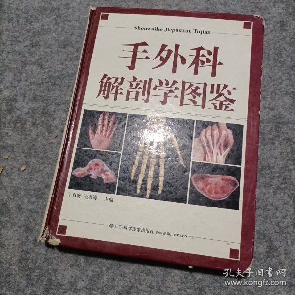 手外科解剖学图鉴