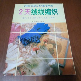 2天绒线编织:帽子、手套、围巾、袜子、披肩、小饰物