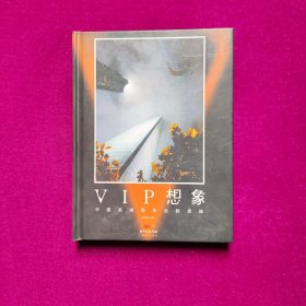 VIP想象：中国高端服务业新思维重庆出版社