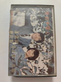 我的中国心 王洁实 谢莉斯