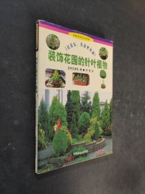 裝飾花園的針葉植物