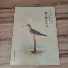 鸟类科学绘画