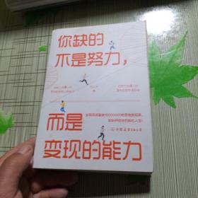 你缺的不是努力，而是变现的能力：用精准努力撬动财富自由