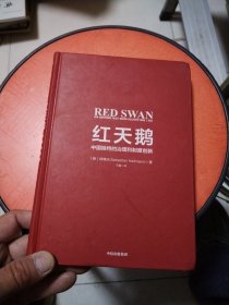 红天鹅：中国独特的治理和制度创新