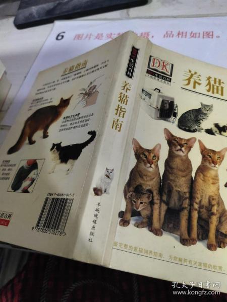 养猫指南