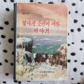 朝鲜原版 (장편소설) 열다섯 소년에 대한 이야기 （朝鲜文）