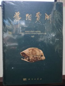 舞阳贾湖（二）