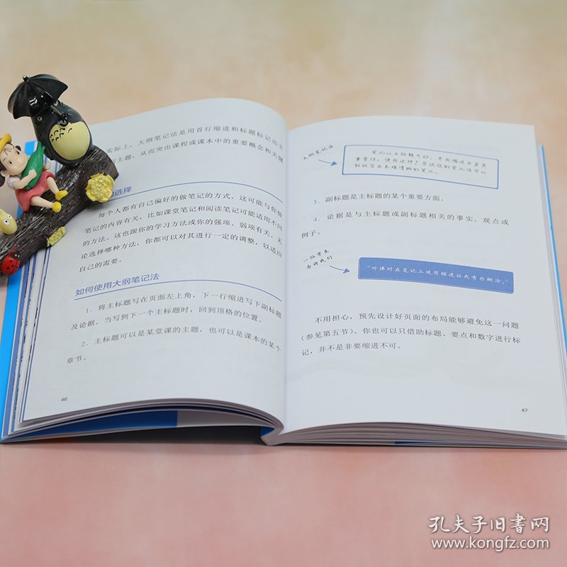 正版书籍做好笔记其实很简单[英]马尔·莱斯特（Mal Leicester） 丹尼斯·泰勒（Denise Taylor）著 黄伟 曾虹云 译9787302620396新华仓库多仓直发