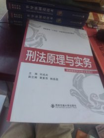 刑法原理与实务