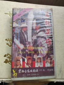 录像带：毒龙英雄