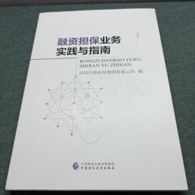 融资担保业务实践与指南