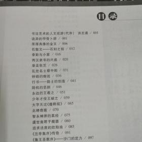 笔墨烟云：中国古代“书法”审美评说