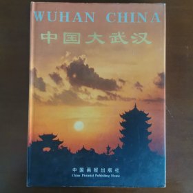 中国大武汉画册