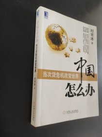 中国怎么办：当次货危机改变世界