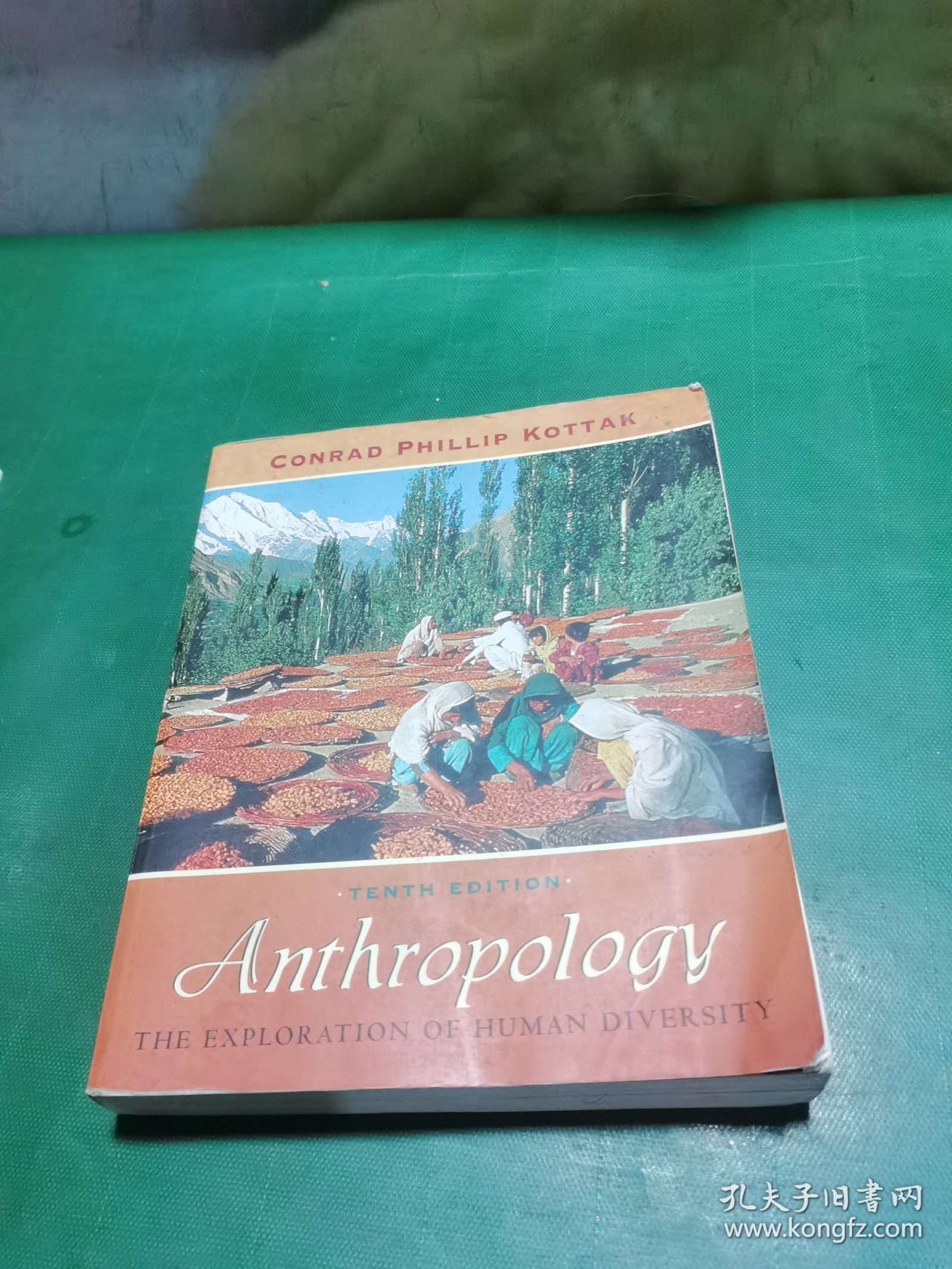Anthropology：The Exploration of Human Diversity (NAI Text Alone)，人类学