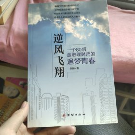 逆风飞翔（一个80后金融理财师的追梦青春）