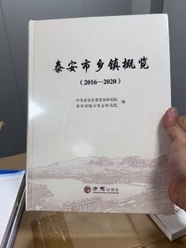 泰安市乡镇概览2016—2020