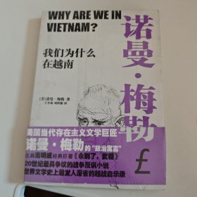 我们为什么在越南
