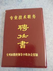 专业技术职务聘任书，硬空皮