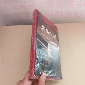 大益文学：虹 未拆封